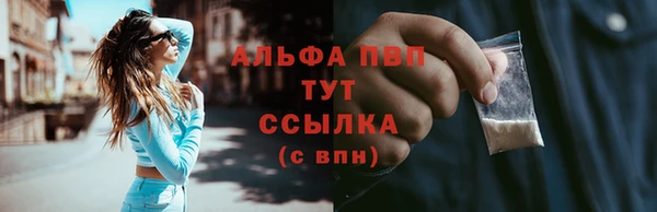 твердый Чита