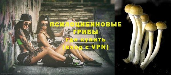 твердый Чита