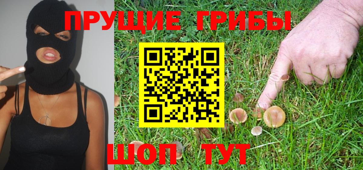 Галлюциногенные грибы MAGIC MUSHROOMS  Зерноград 