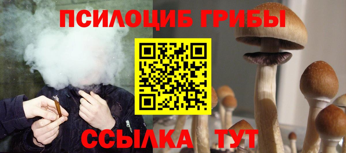 Псилоцибиновые грибы Magic Shrooms  Вход с VPN  Зерноград  Псилоцибиновые грибы Cubensis 