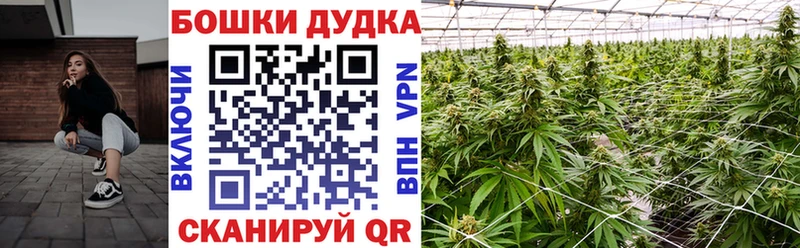 МЕГА ONION  Зерноград  Канабис MAZAR 